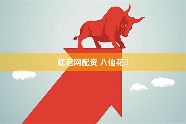 红启网配资 八仙花‌