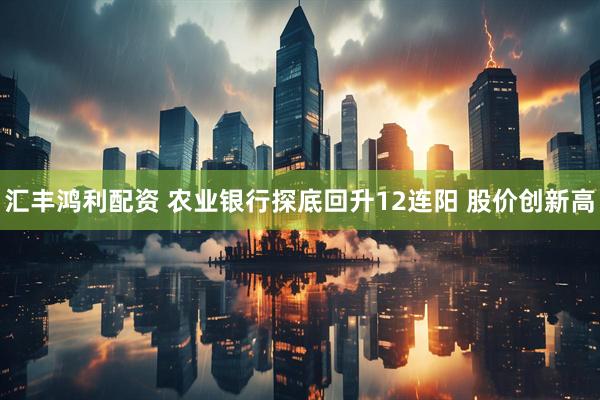 汇丰鸿利配资 农业银行探底回升12连阳 股价创新高