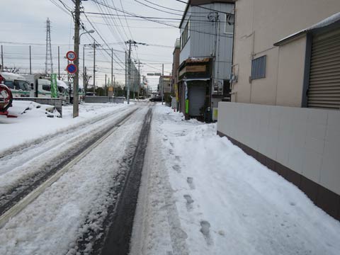 埼玉の雪